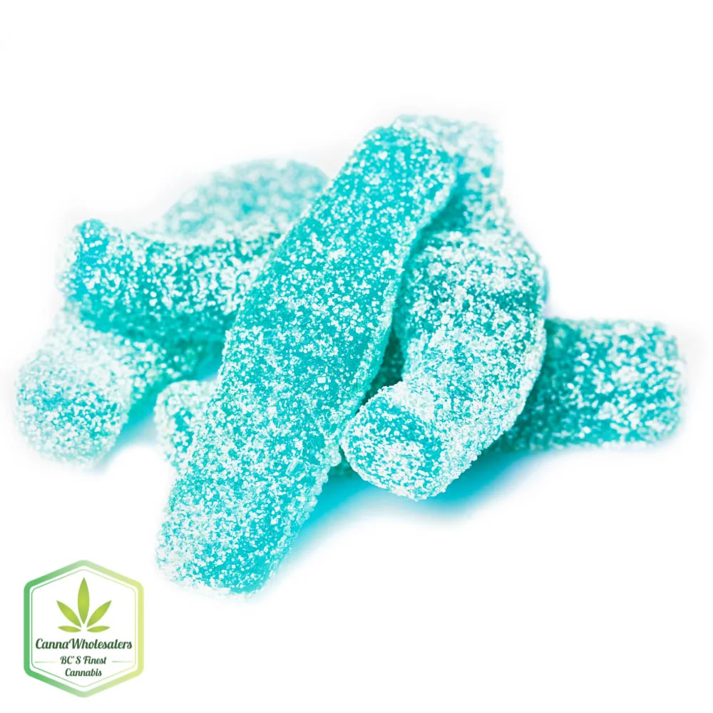 CBD Mota 300MG Blue Raspberry Soda Bottles