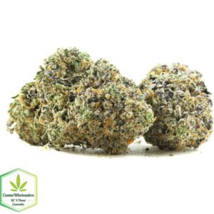 Budget Oz – Purple Space Tuna