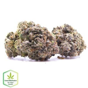 Budget Oz – Pink Rozay