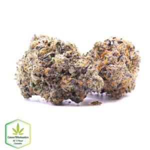 Budget Oz – Lindsay OG