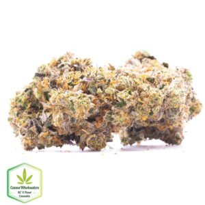 Budget Oz – Pine Tar Kush