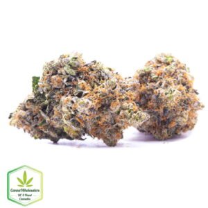Budget Oz – Gangster OG