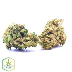 Budget Oz – Gorilla Grips