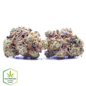 Budget Oz – Purple Moby Dick – Craft Gardens