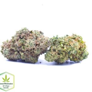 Budget Oz – Lion’s Mane