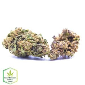 Budget Oz – Jungle Breath