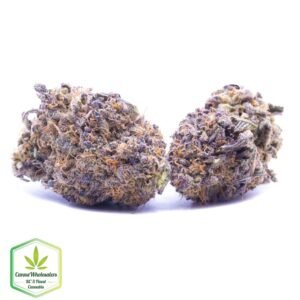 Budget Oz – Bakerstreet