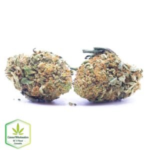 Budget Oz – The Truth